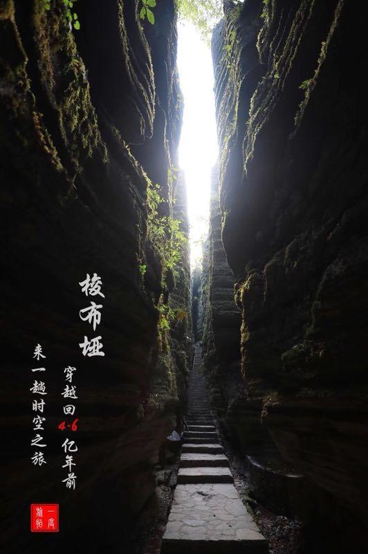 丧尸围城3